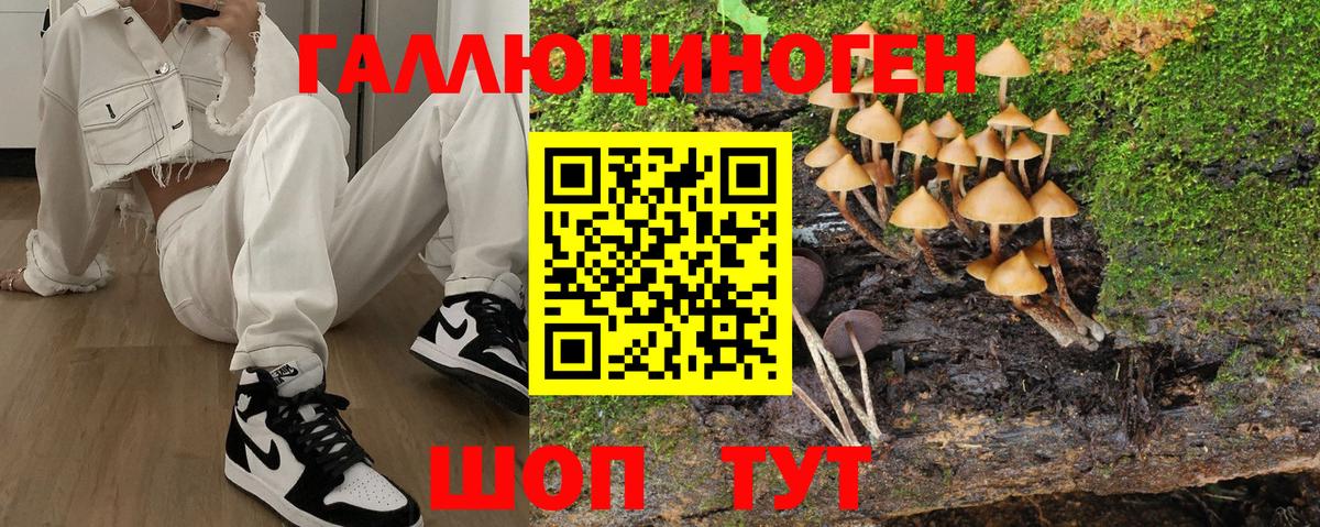 Лабинск  Псилоцибиновые грибы прущие грибы  Вход с VPN 